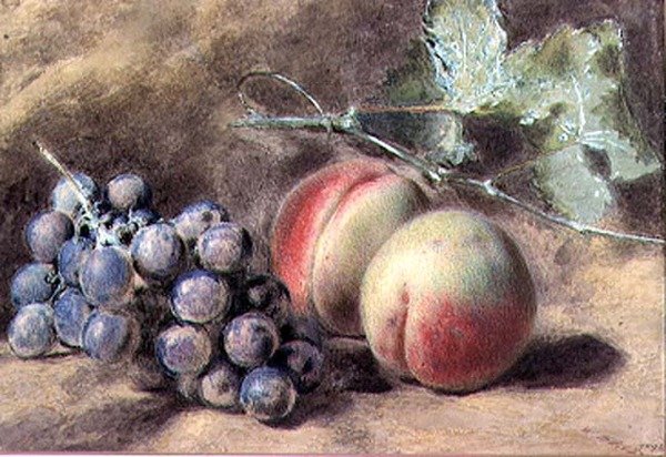Szőlő és őszibarack, 19. század alkotó: William Henry Hunt