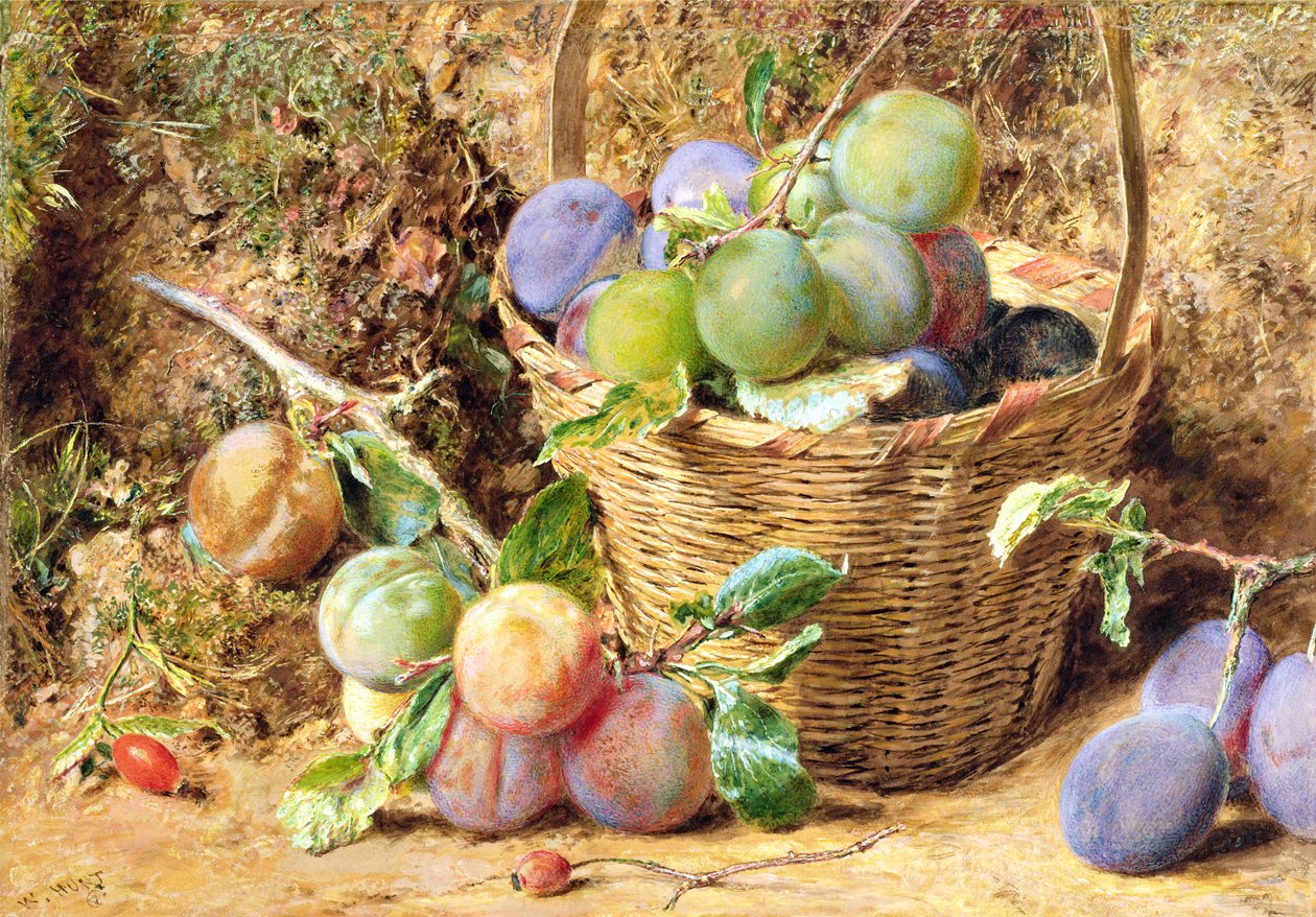 szilva (wc) alkotó: William Henry Hunt
