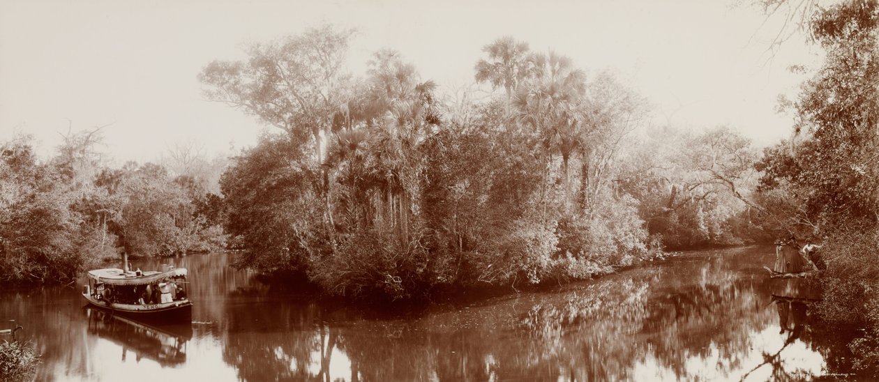 A Tomokán Ormond közelében, Floridában alkotó: William Henry Jackson