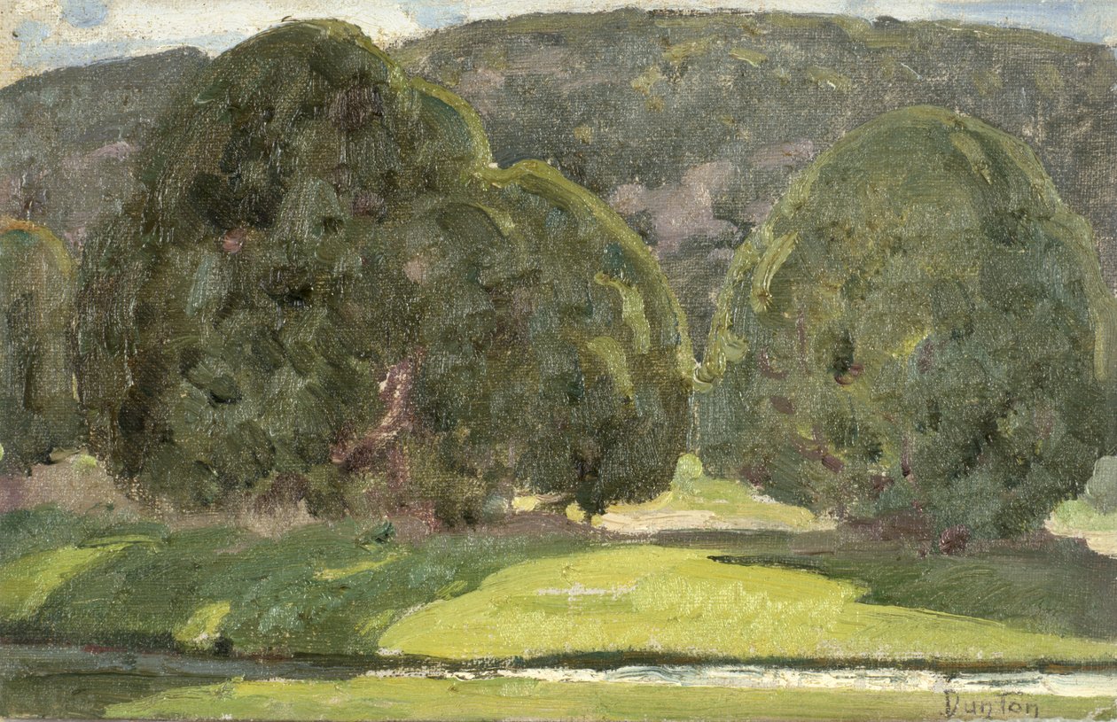 Napfény és cédrusok, 1933 körül alkotó: William Herbert Buck Dunton