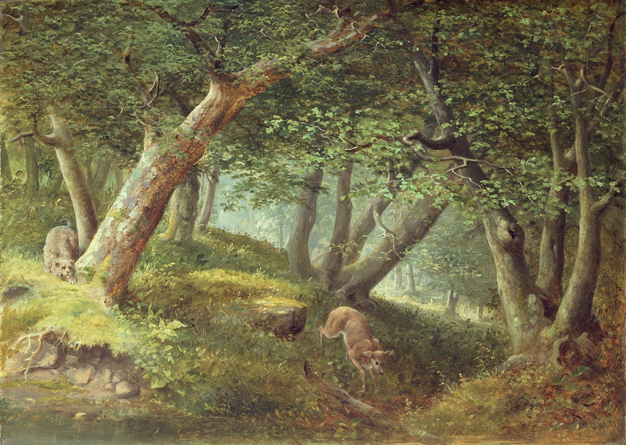 Az erdőben, 1856 alkotó: William Holbrook Beard