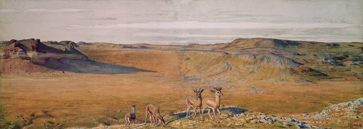 Gizeh puszta, 1854 alkotó: William Holman Hunt