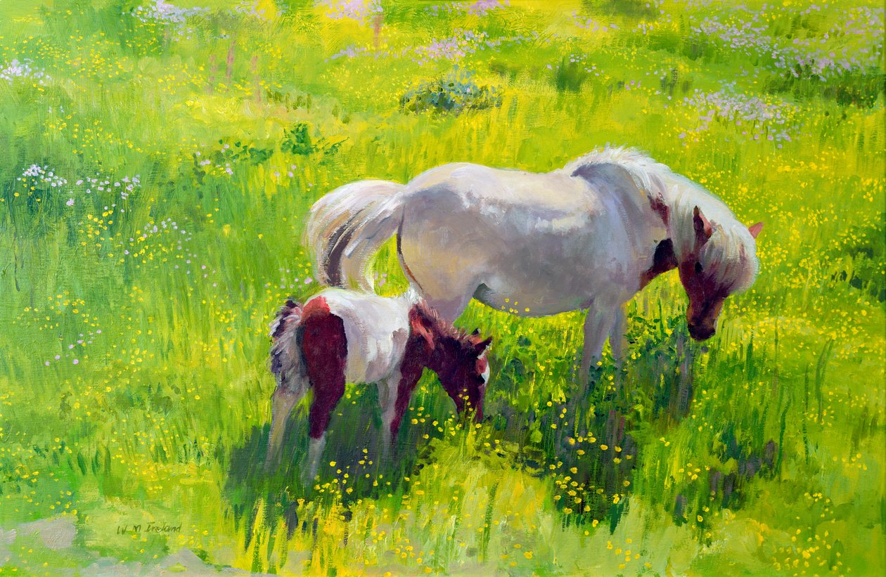 Piebald ló és csikó alkotó: William Ireland