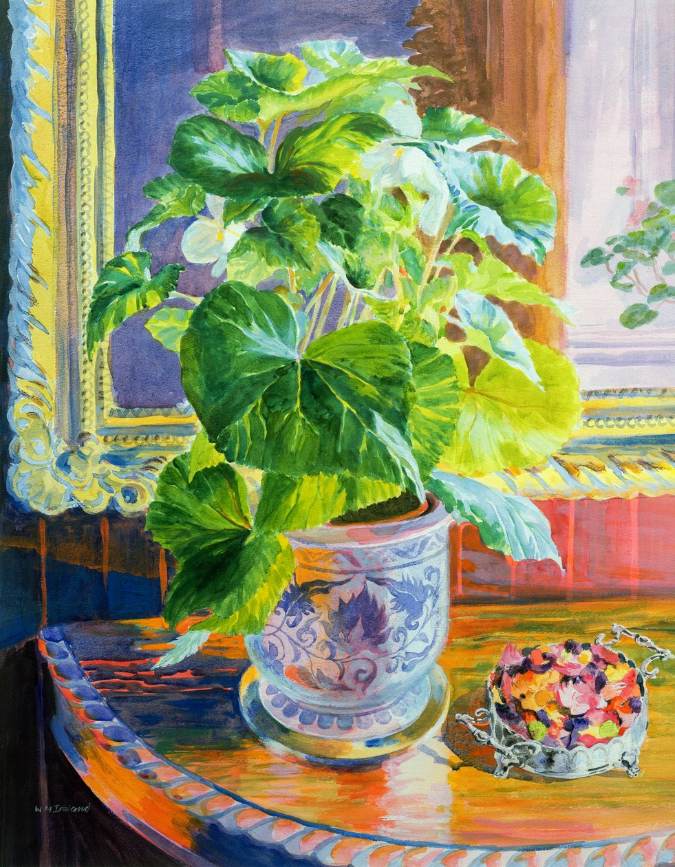 A Fény felé alkotó: William Ireland