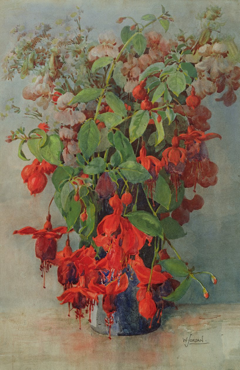 Fushia és Snapdragon vázában (ceruza és wc) alkotó: William Jordan