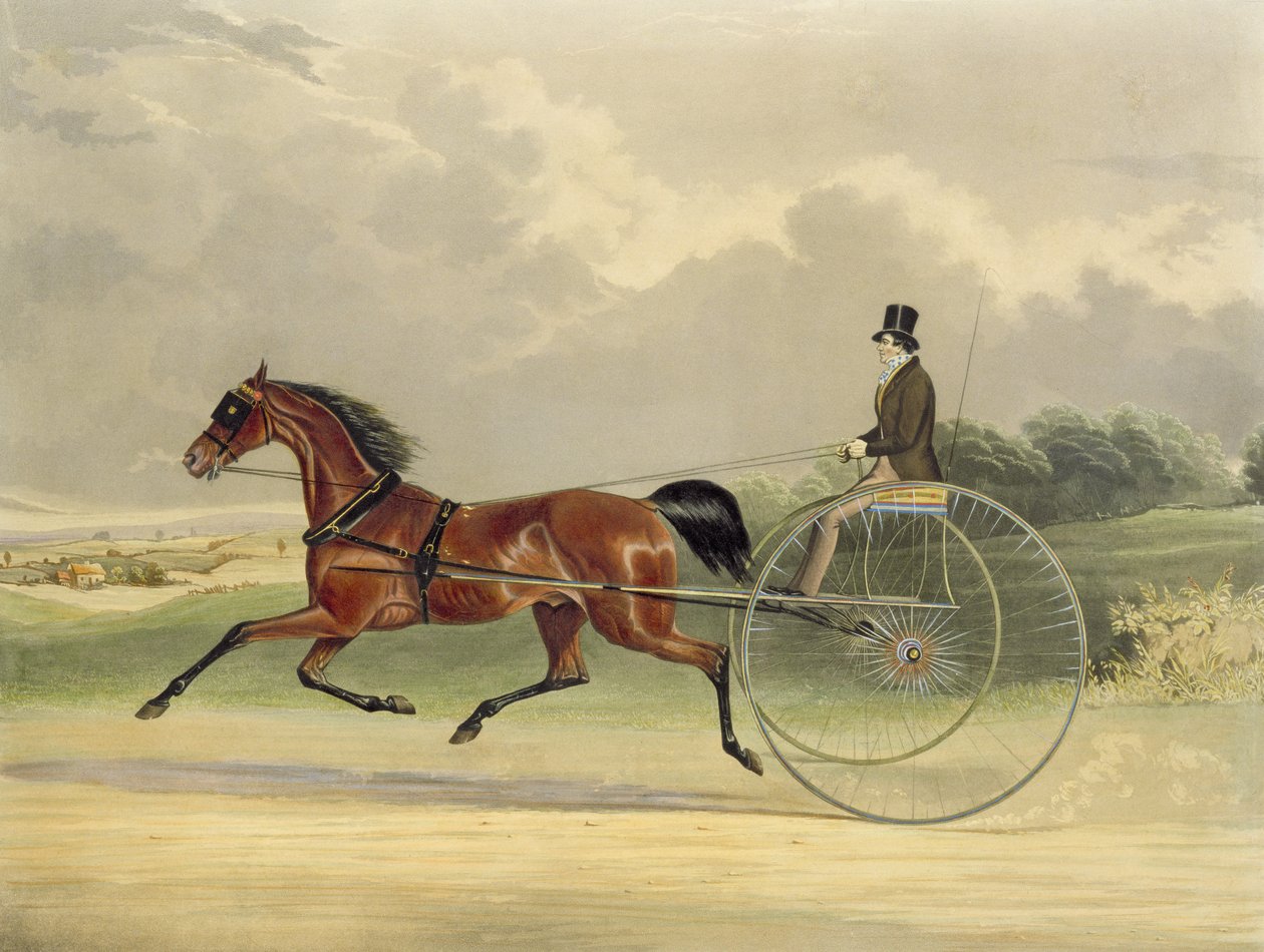 Lord William, metszette J.R. Macrell (1845 körül), 1845 (színes metszet) alkotó: William Joseph Shayer