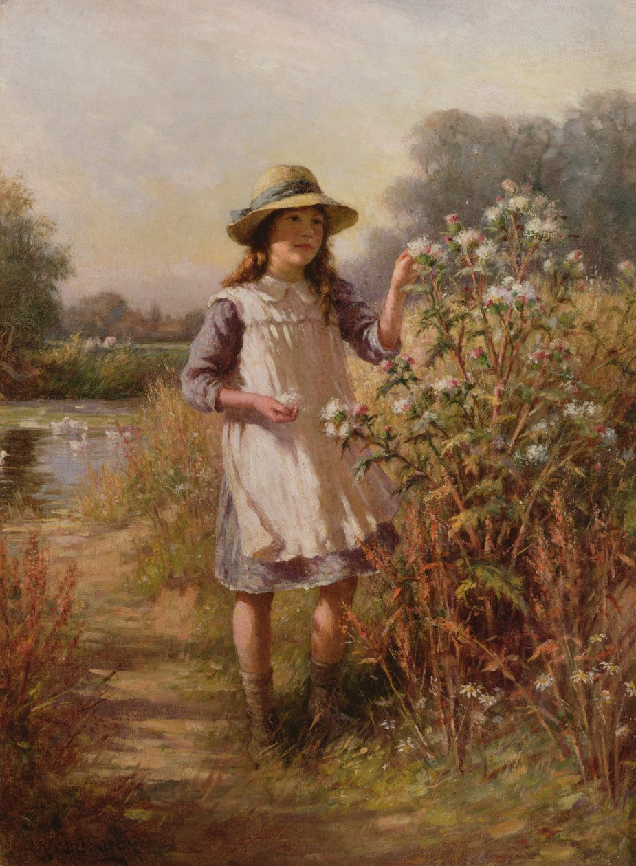 Ismeretlen kép alkotó: William Kay Blacklock