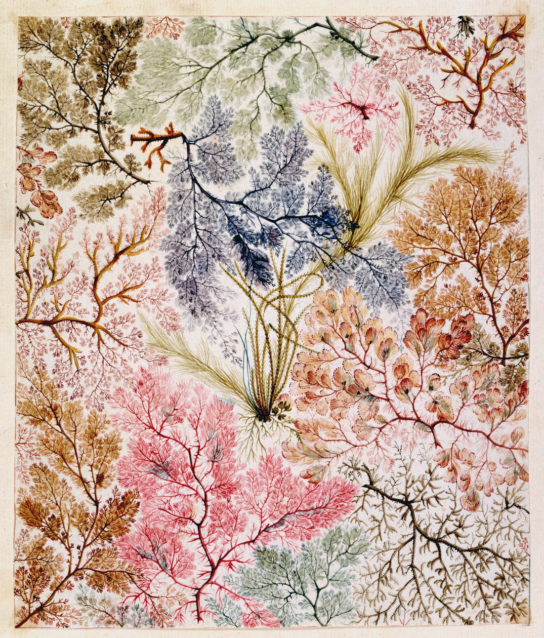 Textiltervezés, 1788-92 körül alkotó: William Kilburn