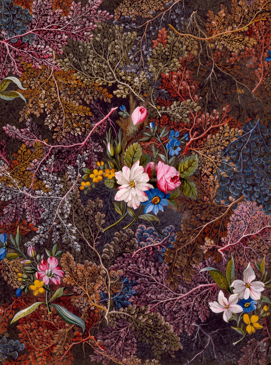 Textiltervezés, 1788-92 körül alkotó: William Kilburn