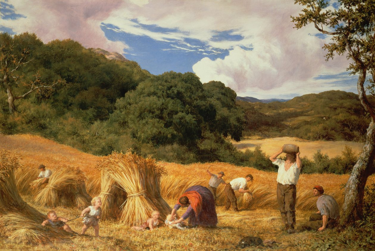 Cornfield Surreyben, 1860 alkotó: William Linnell