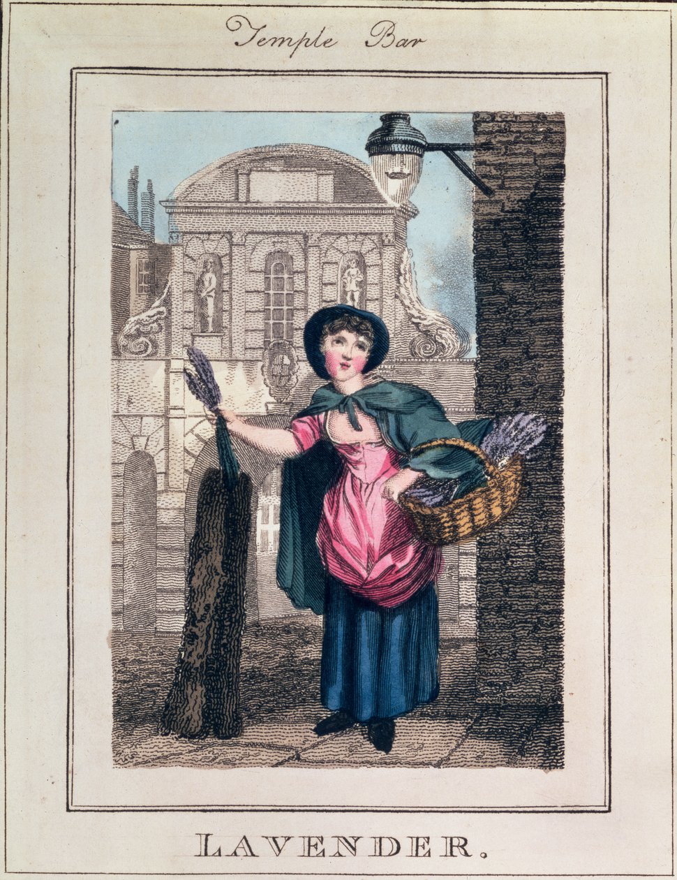 Levendula, Temple Bar, a Richard Phillips (1778-1851) által kiadott 