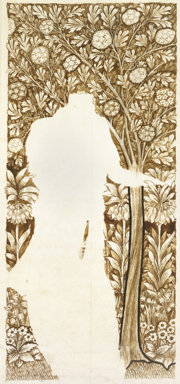 Tervezés lombos háttérhez (befejezetlen) (grafit barna mosással) alkotó: William Morris