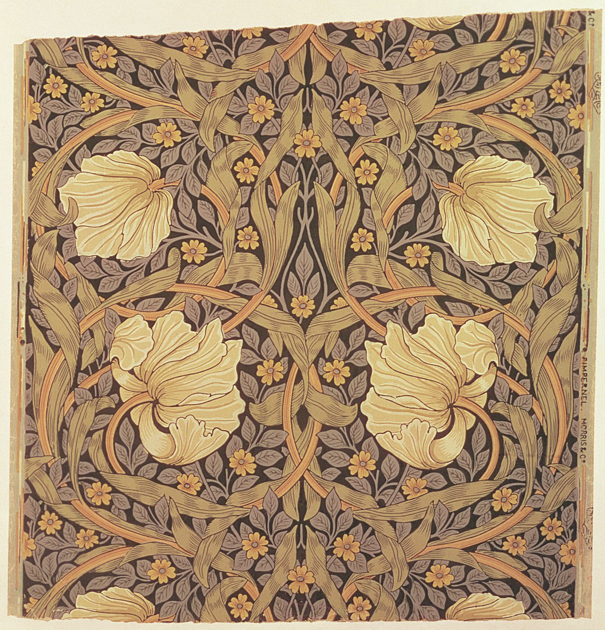 "Pimpernel" tapéta, 1876 alkotó: William Morris