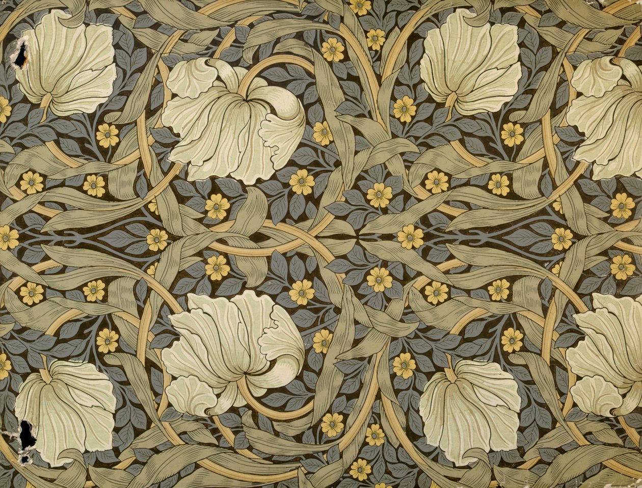 Pimpernel, tapéta dizájn, 1876 alkotó: William Morris