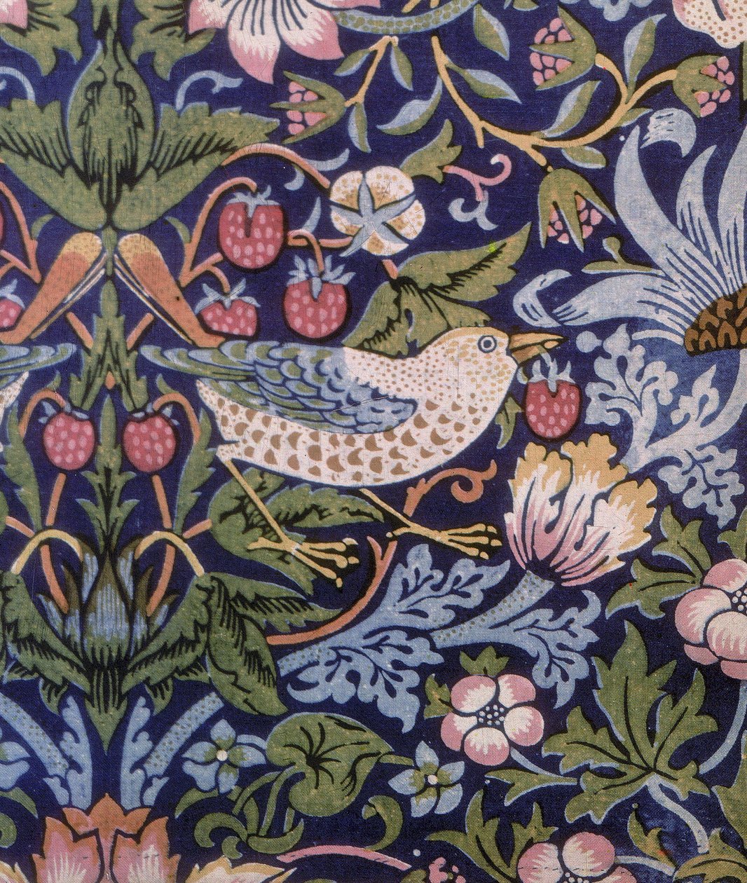 Strawberry Thief függöny, 1883 (nyomtatott textil) alkotó: William Morris