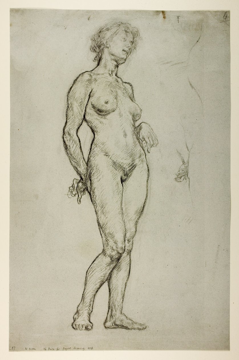 Tanulmány egy női alakról, 1898 (kréta papíron) alkotó: William Orpen