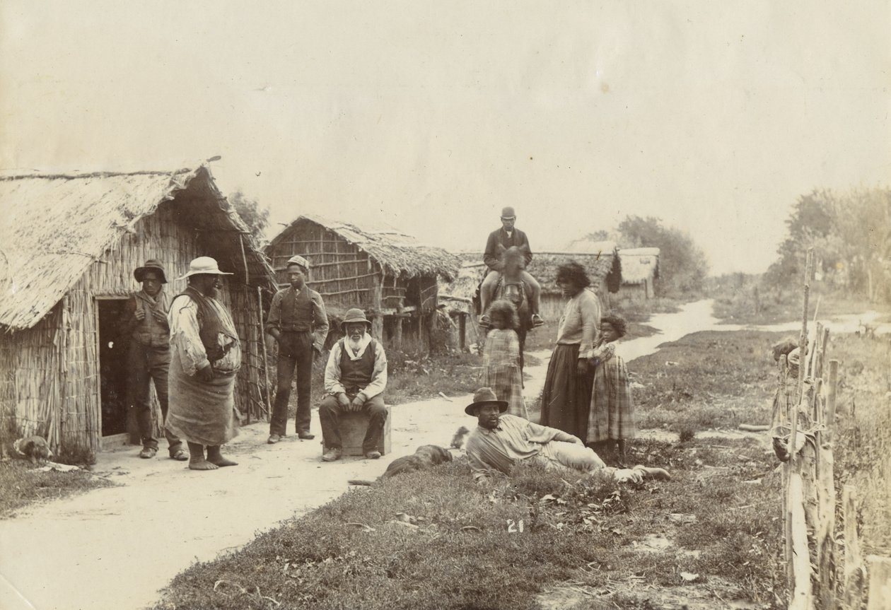 Kaiwhaiki pa, Upokongaro, 1895 körül (ezüst zselatin nyomat) alkotó: William Partington