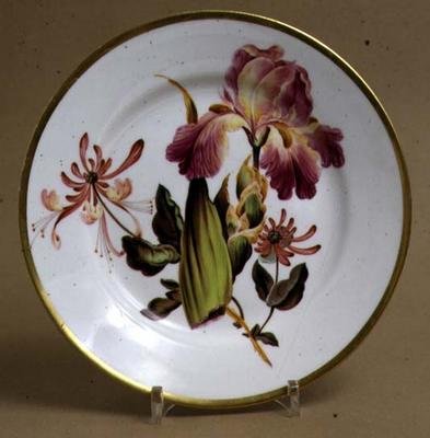 Derby desszert tányér írisz és lonc díszítéssel, 1795 körüli (porcelán) alkotó: William Quaker attributed to Pegg