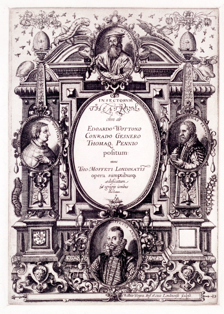 Moffeti Theatrum Insectorum címlapja, 1590-es évek vége alkotó: William Rogers