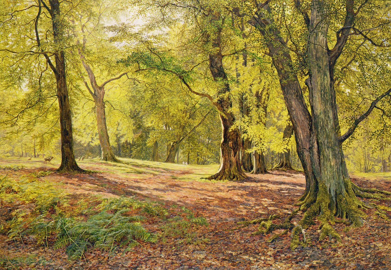 A bükkösben alkotó: William Samuel Jay