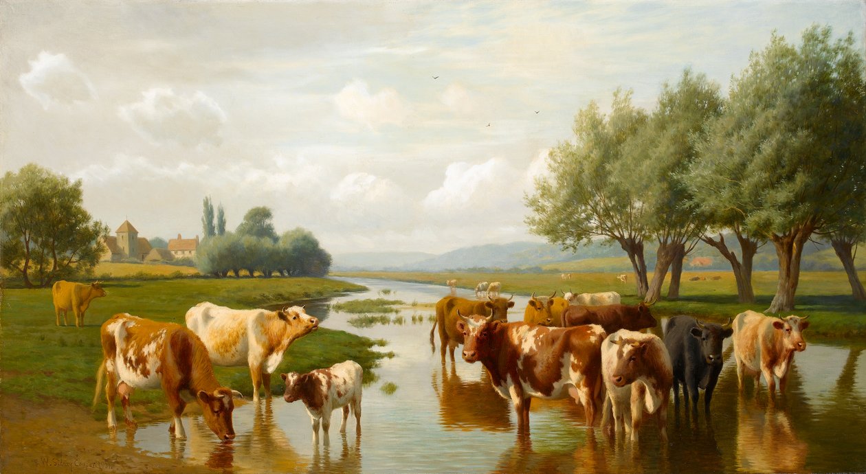 Szarvasmarha egy vízi réten, Thanington közelében, Kentben, 1901 alkotó: William Sidney Cooper