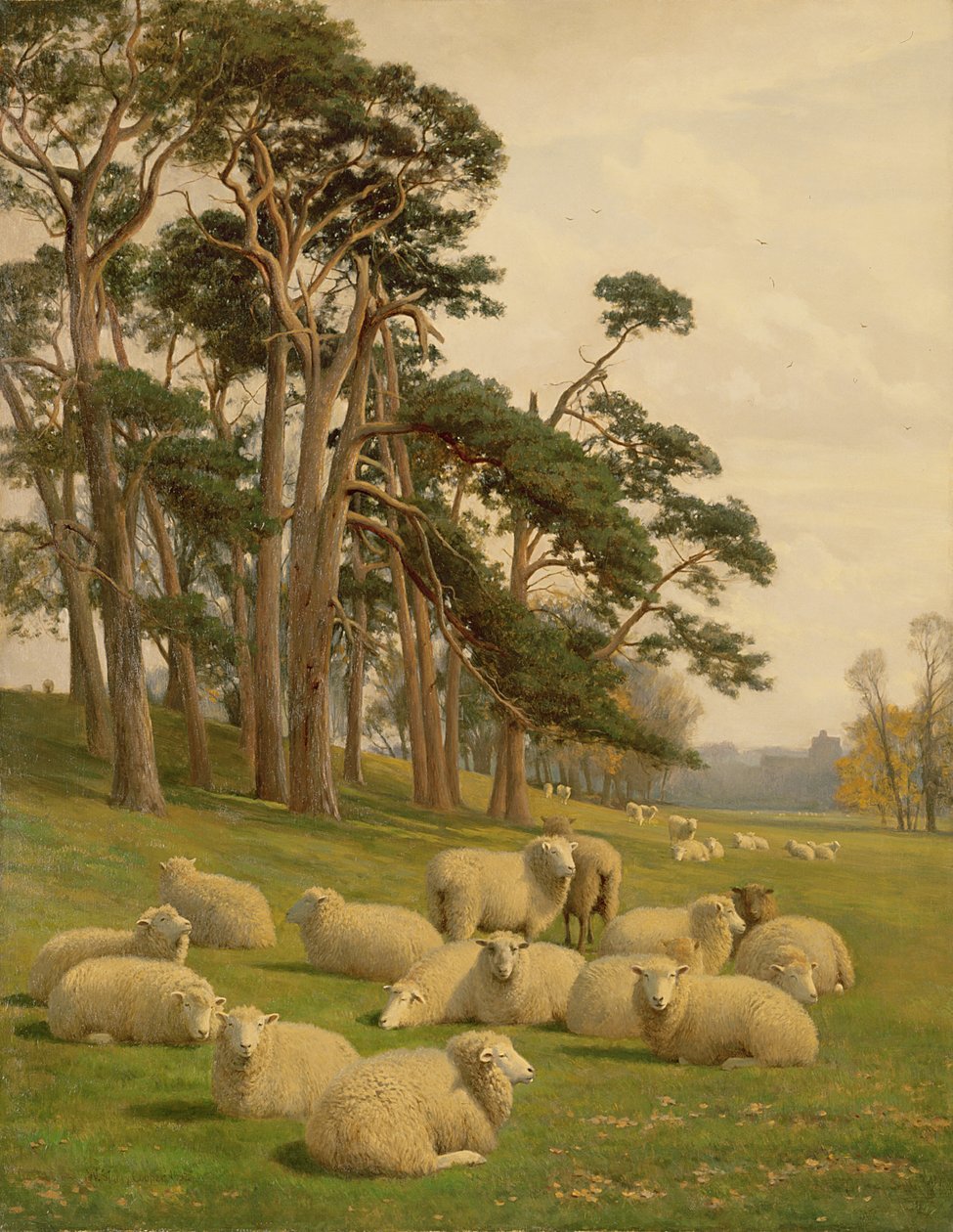 Napsütötte legelők alkotó: William Sidney Cooper
