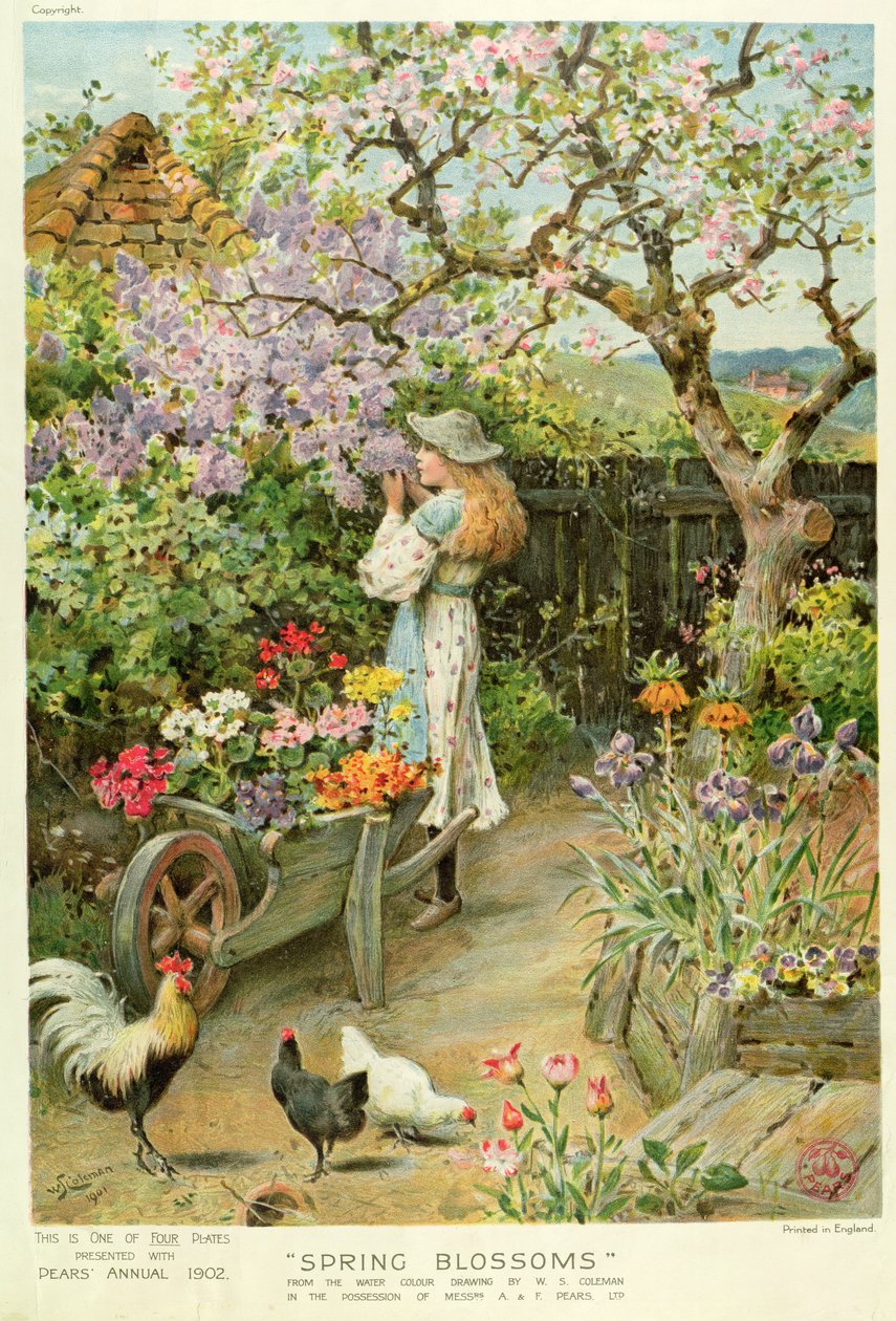 Tavaszi virágok, az egynyári körtéből, 1902 alkotó: William Stephen Coleman