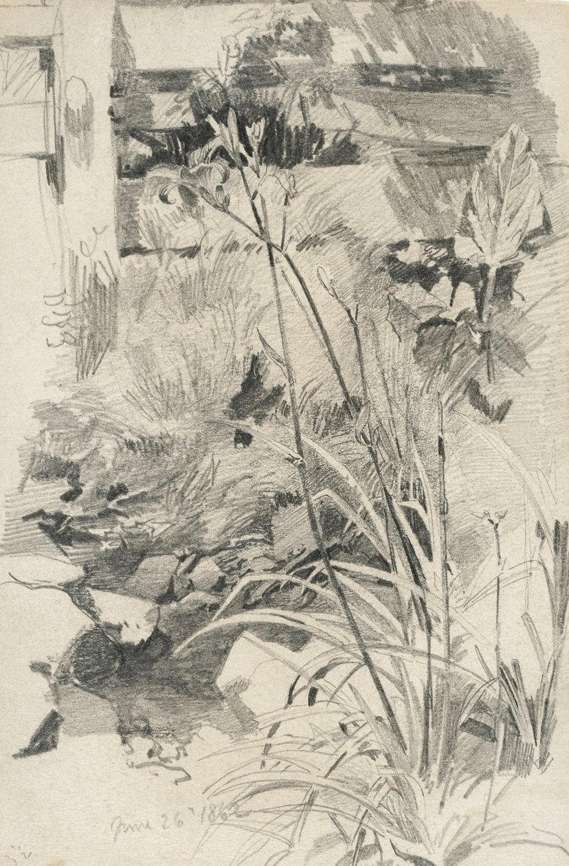 Nappali liliomok fából készült kerítés mellett, 1862 (grafit barna szőtt papíron) alkotó: William Trost Richards