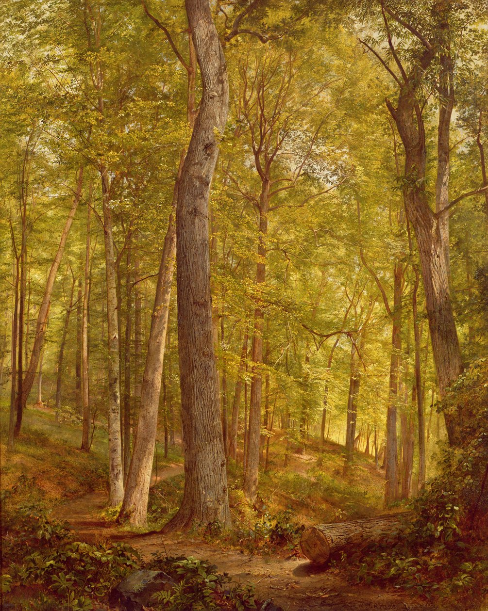 June Woods, Pennsylvania, 1864 alkotó: William Trost Richards