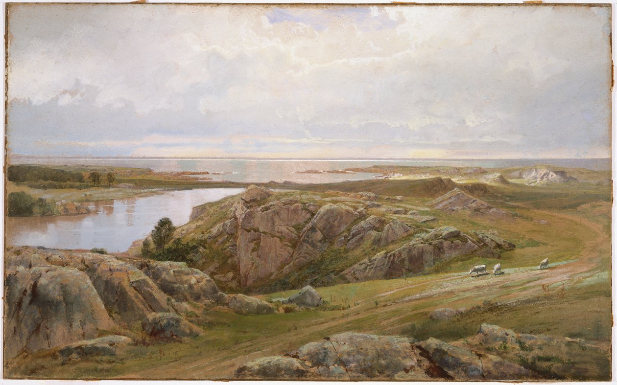 Lily Pond, Newport, 1877 (wc papíron) alkotó: William Trost Richards