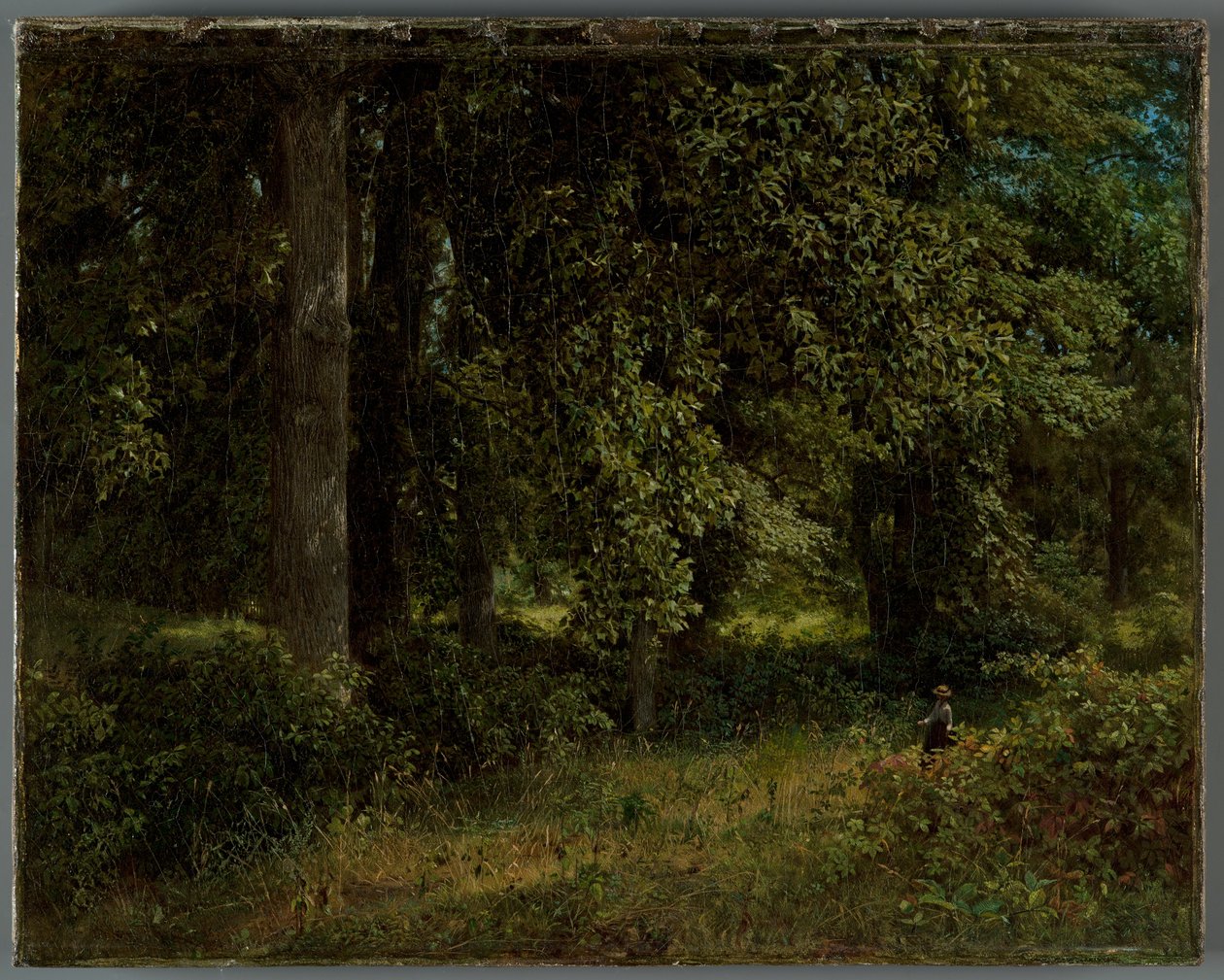 Tulipánfák, 1859 alkotó: William Trost Richards