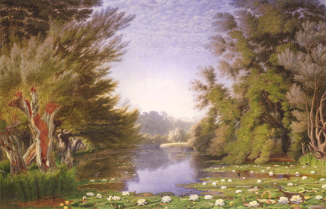 Tavirózsa a Cherwellen alkotó: Joseph Mallord William Turner