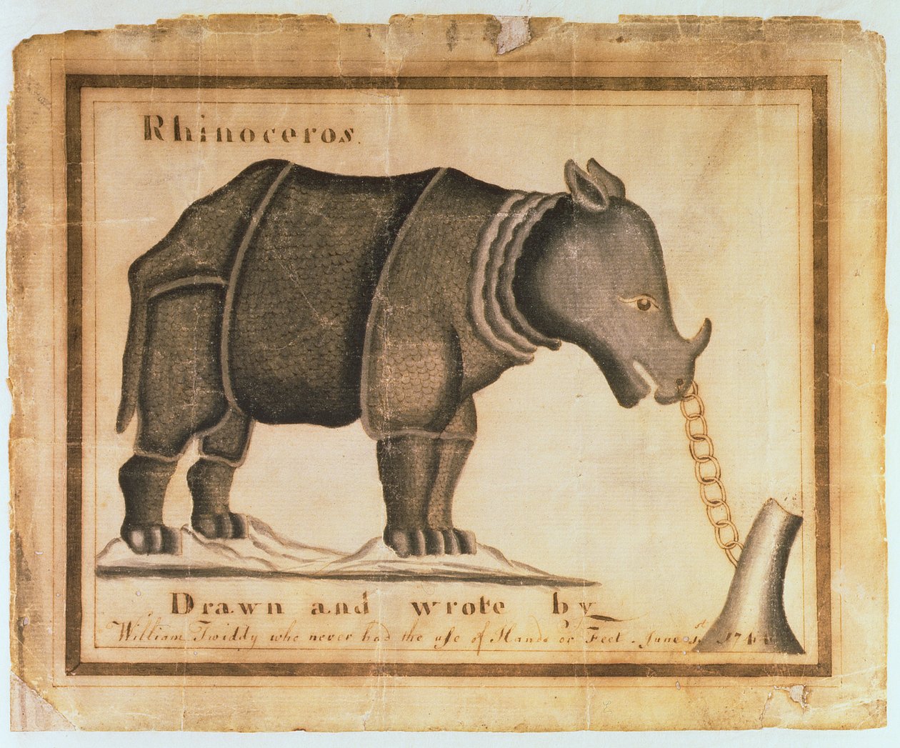 Orrszarvú, rajzolta és írta William Twiddy, aki soha nem használta a kezét vagy lábát, 1744. június 1. (wc papíron) alkotó: William Twiddy
