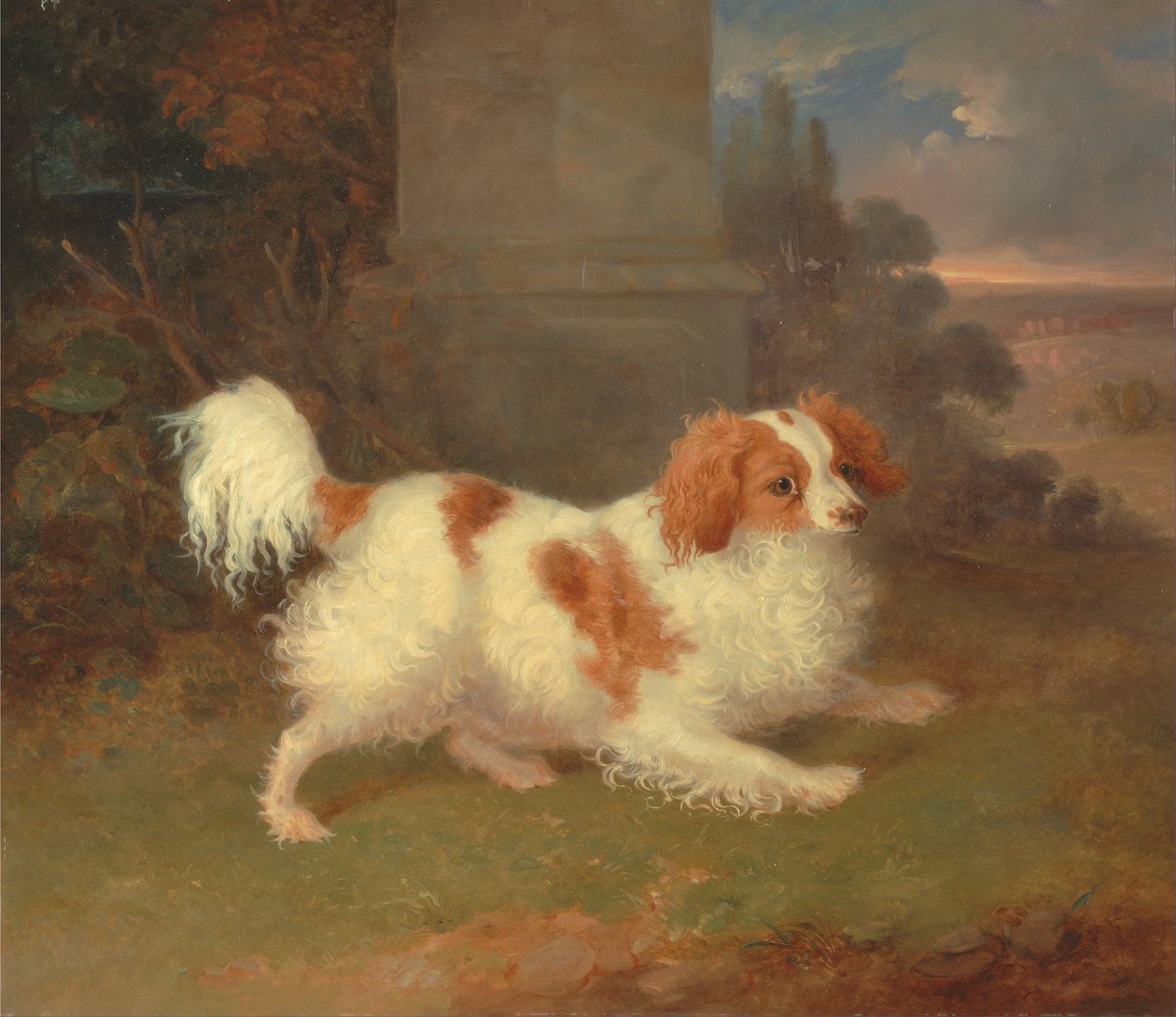 Blenheim spániel alkotó: William Webb