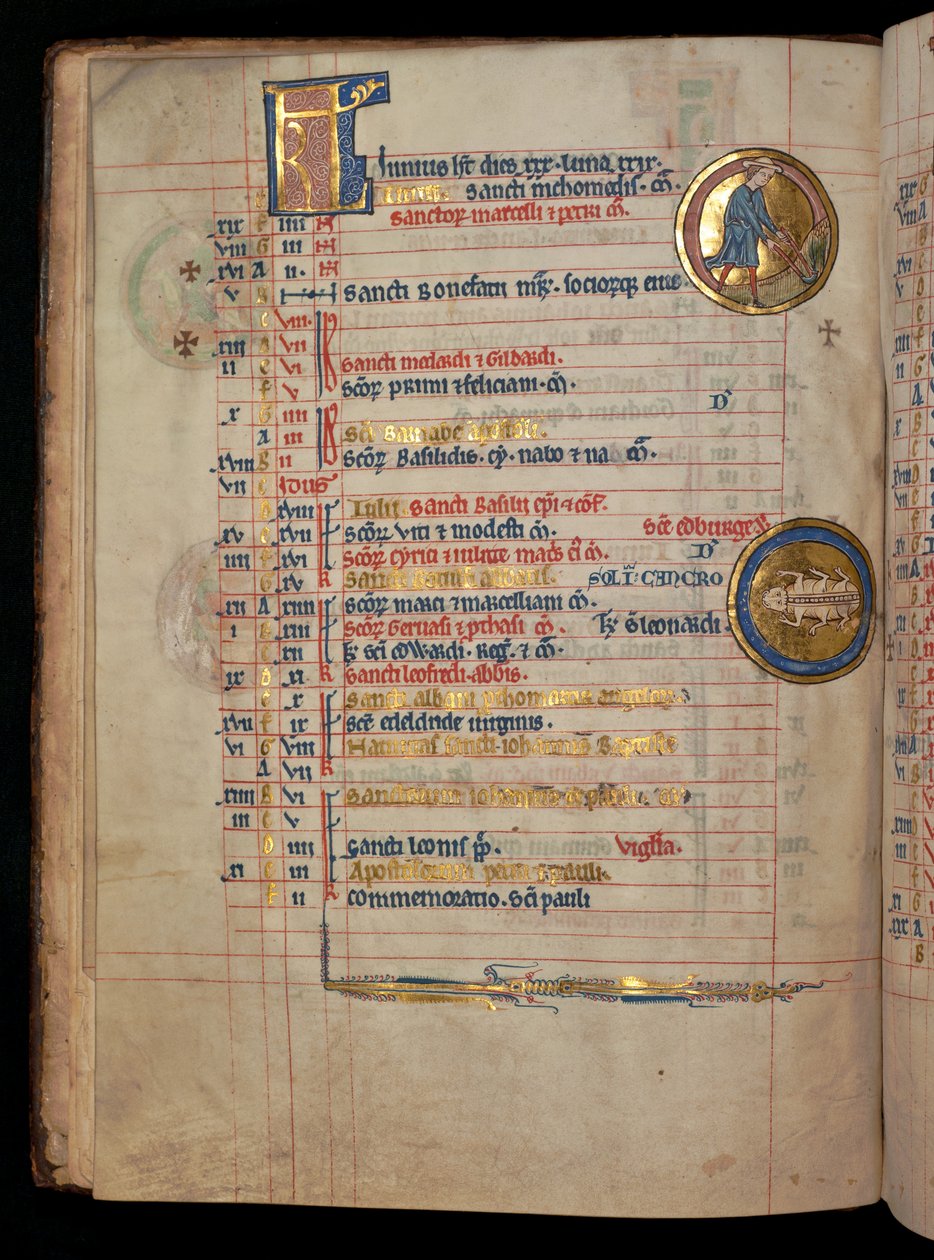 Ms 322 f.3v, Június, egy férfi gyomlál, illusztráció a "De Brailes zsoltárból", 1250 körül. alkotó: William de Brailes  