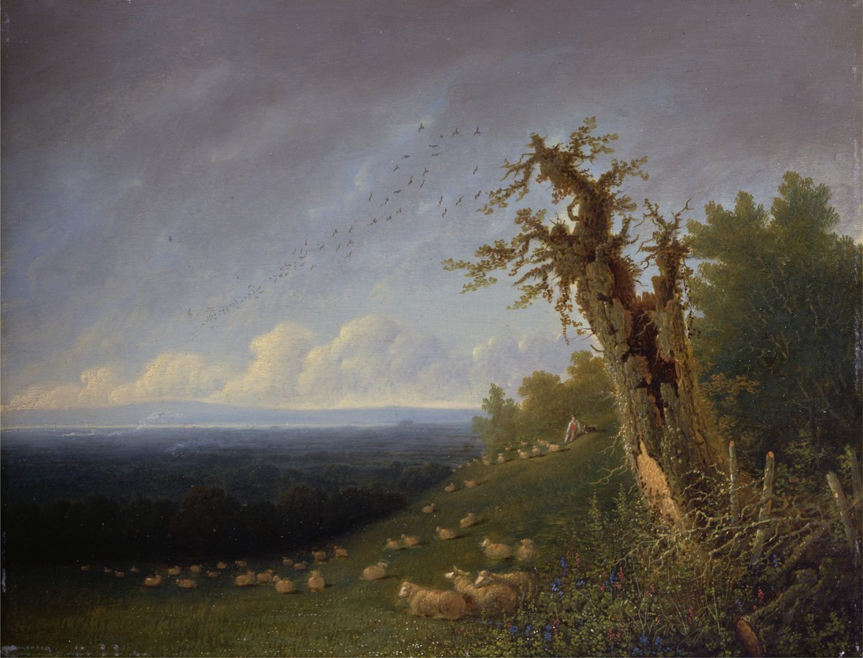 Pásztorfiú a domboldalon (olaj a panelen) alkotó: Joseph Mallord William Turner