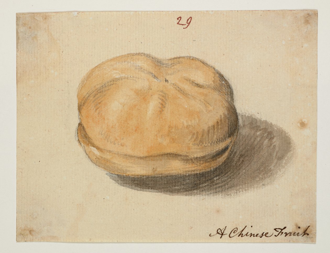 WD 961 f.29 alkotó: William Alexander