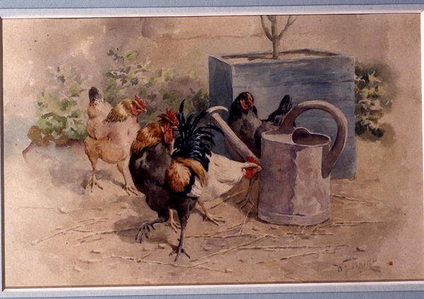 Csirkék locsolókannával (akvarell testfestékkel papíron) alkotó: William Baptiste Baird