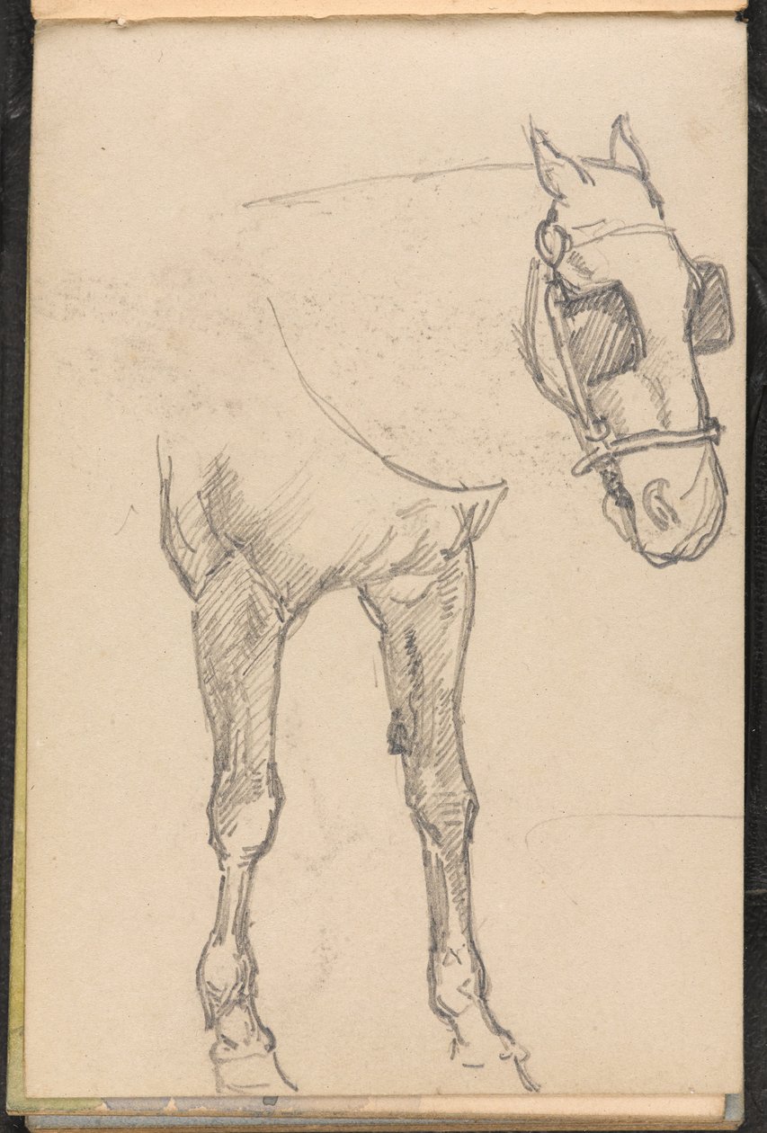 Villogós ló vázlata, 1879 körül alkotó: William Barnes Wollen