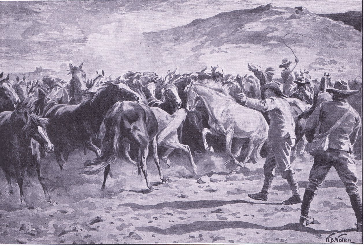 A lovak elfogása a Fouriesburg melletti Brandwater kerületben: a hajtás összesítése, illusztráció az After Pretoria: The Guerilla War, 1902-ből alkotó: William Barnes Wollen