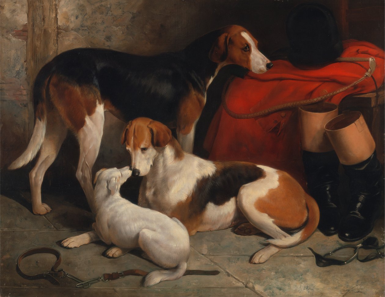 Egy pár rókakutya terrierrel, Lord Henry Bentinck tulajdona alkotó: William Barraud