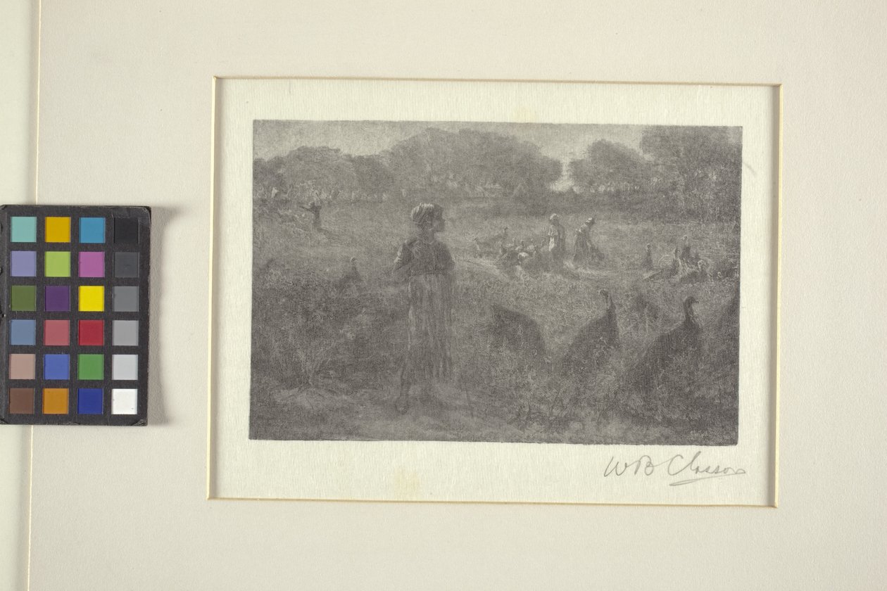 A pulykalegelő (fametszet) alkotó: William Baxter Palmer Closson