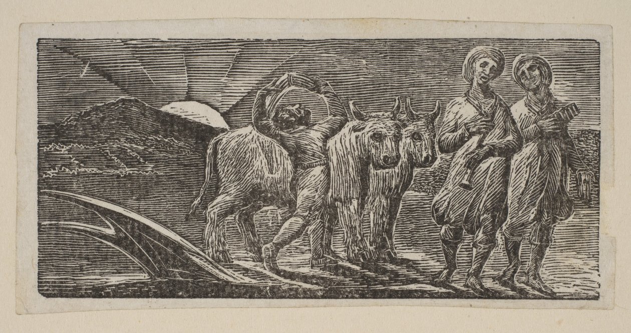 Fiú, aki örömmel tér vissza, ekével és ökrökkel, a Thorntons Pastorals of Vergiliusból, 1821. alkotó: William Blake