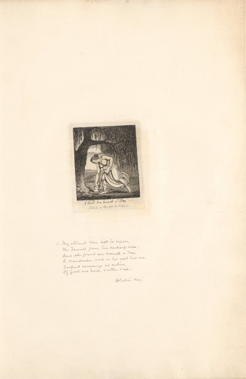 A nemek számára – A Paradicsom kapui, 3. tábla, egy fa alatt találtam rá alkotó: William Blake