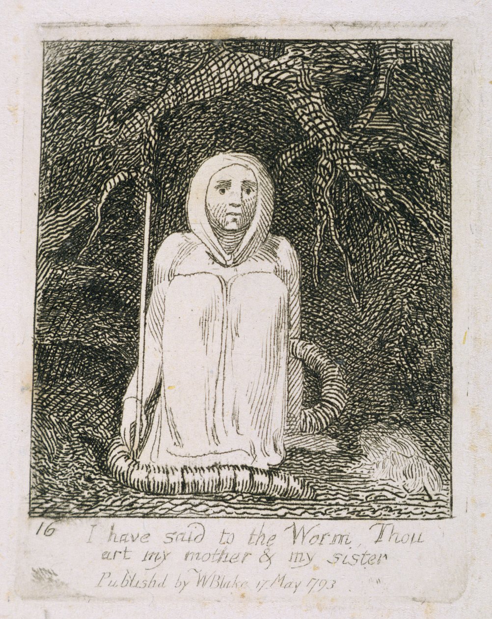 Azt mondtam a féregnek, hogy te vagy az anyám és a nővérem, 17. tábla a „Gyermekeknek”. A Paradicsom kapui”, 1793 alkotó: William Blake