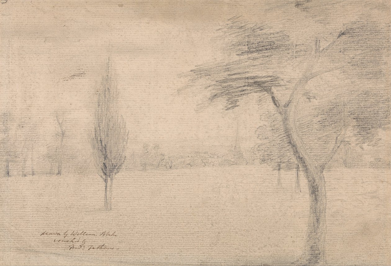 Táj Spire alkotó: William Blake