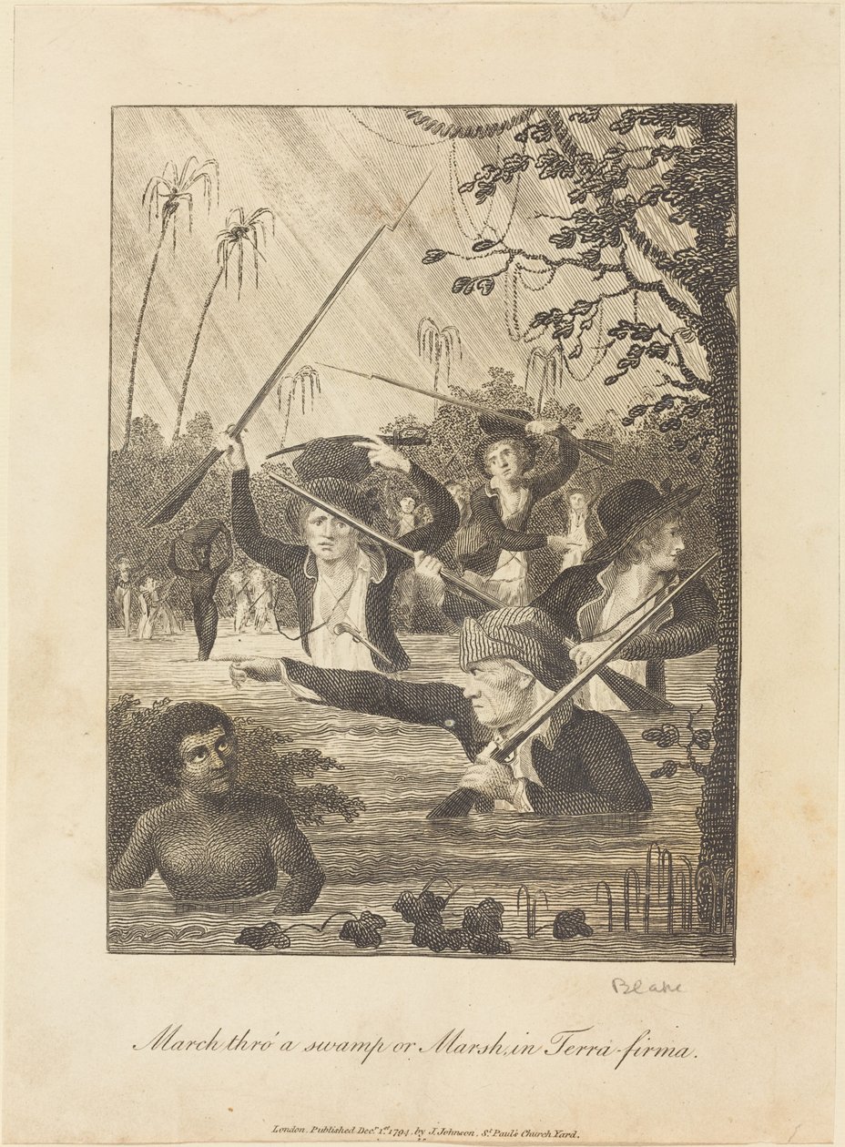 Átvonulni egy mocsáron vagy mocsáron a Terra-firman, 1793. alkotó: William Blake