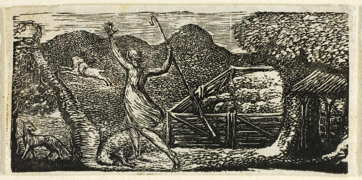 Pásztor elűzi a farkast, Vergilius pásztoraiból alkotó: William Blake