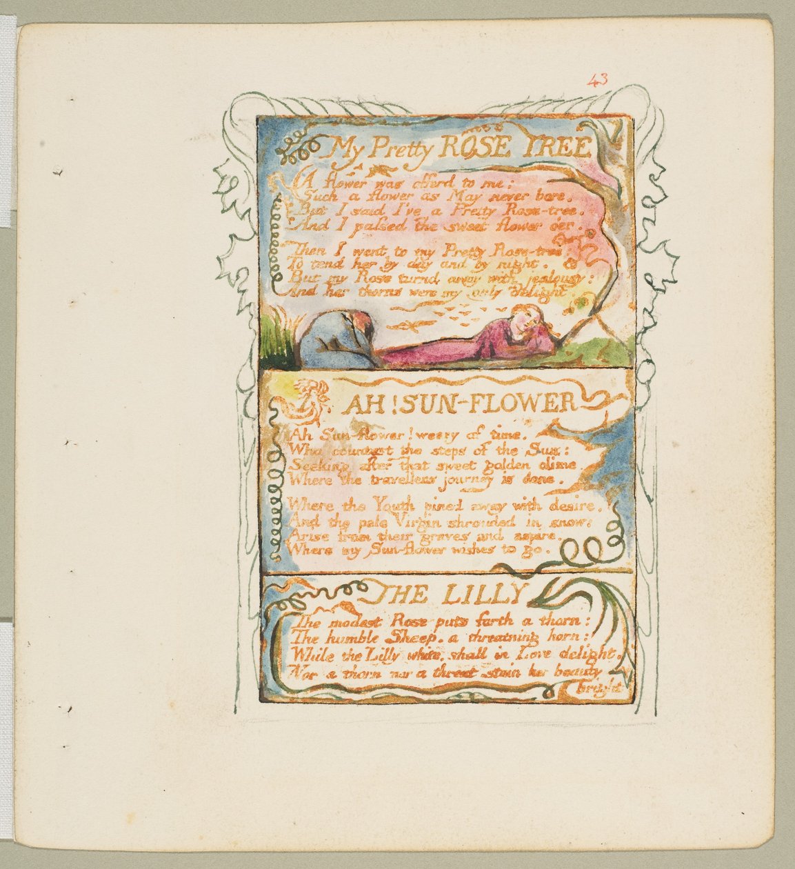 Az ártatlanság és az élmény dalai: Az én szép rózsafám, ah! Napvirág, Liliom, kb. 1825. alkotó: William Blake