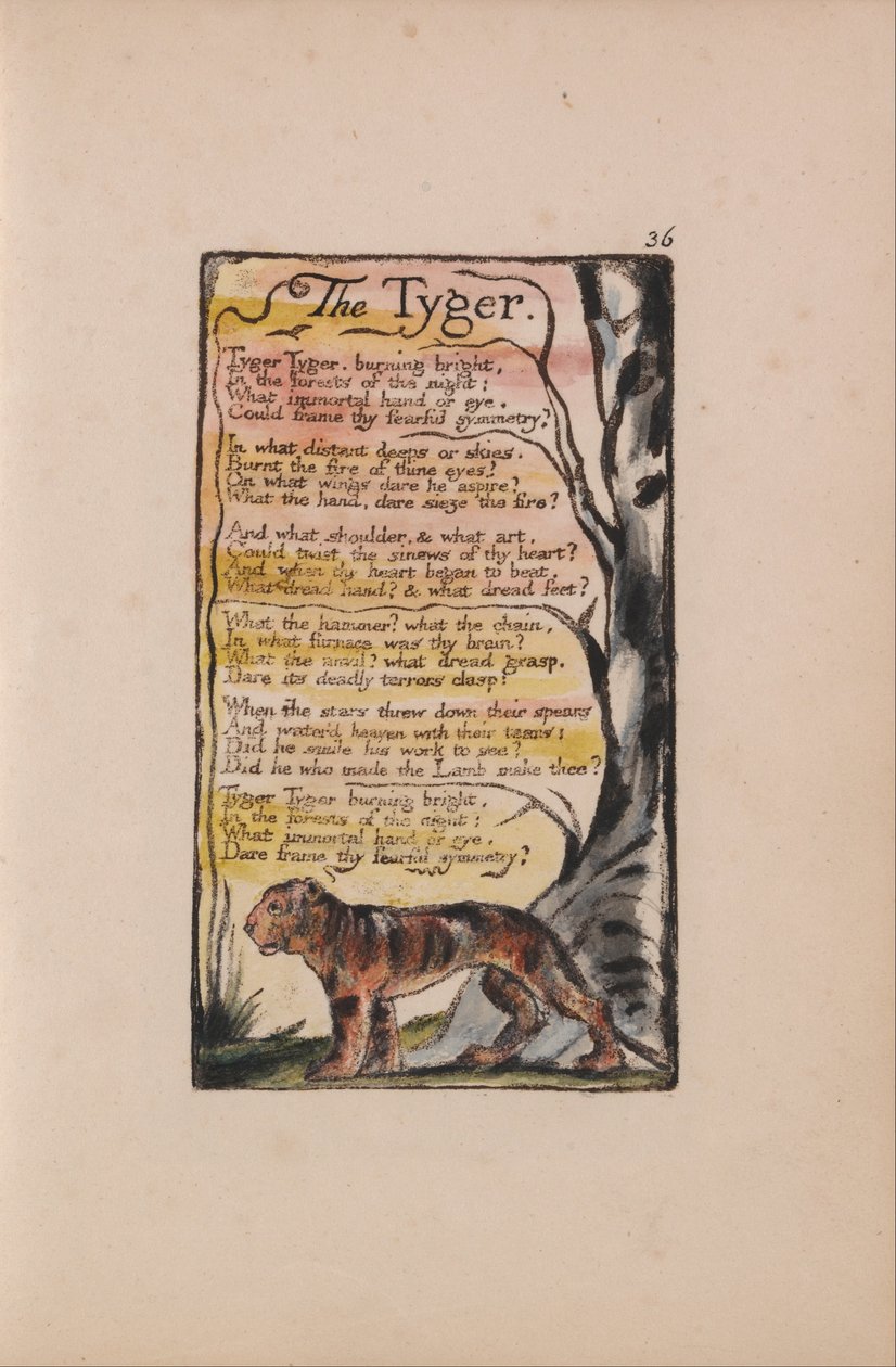 Songs of Inocence and of Experience, 36. tábla, The Tyger (Bentley 42) alkotó: William Blake